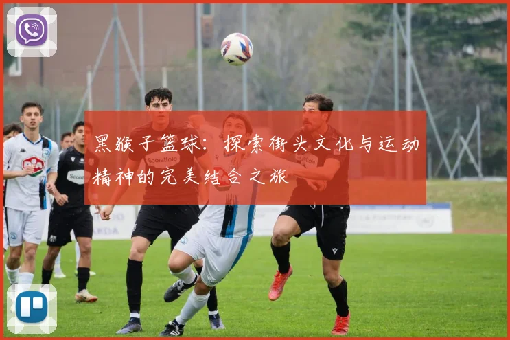 黑猴子篮球：探索街头文化与运动精神的完美结合之旅