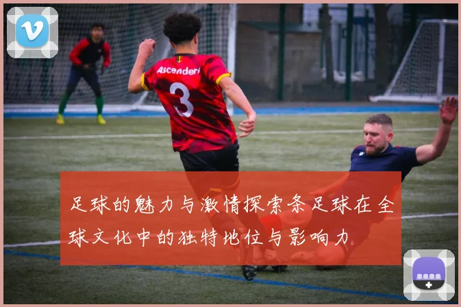 足球的魅力与激情探索条足球在全球文化中的独特地位与影响力