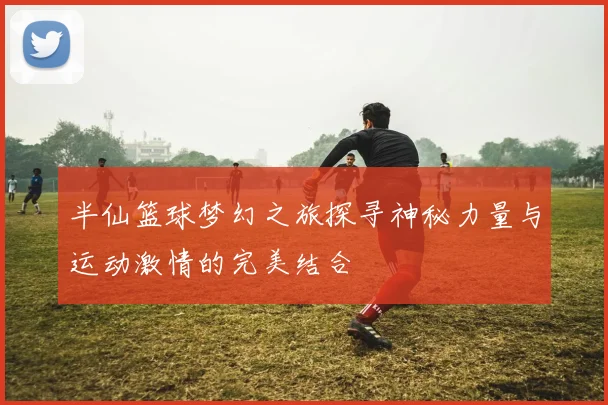 半仙篮球梦幻之旅探寻神秘力量与运动激情的完美结合